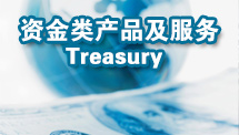 资金类产品及服务